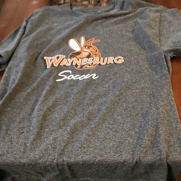 Champion Gray Authentic Tee Waynsburg University Medium - Picture 1 of 4